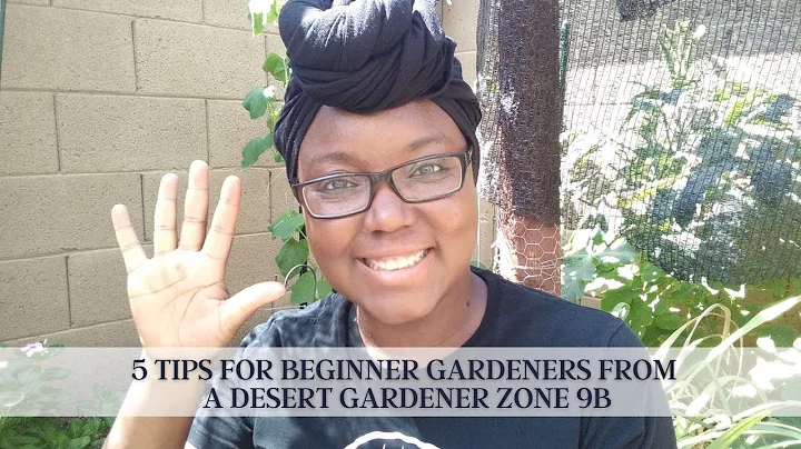 5 Tips For Beginner Gardeners From A Desert Gardener Zone 9B
