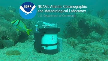 Exploring Environmental DNA: The New Subsurface Automated Sampler for Environmental DNA