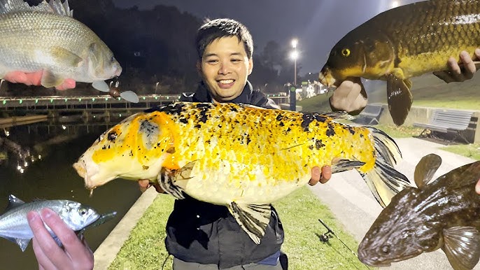 Catching MONSTER fish on $20 Budget? Kmart Fishing Challenge 