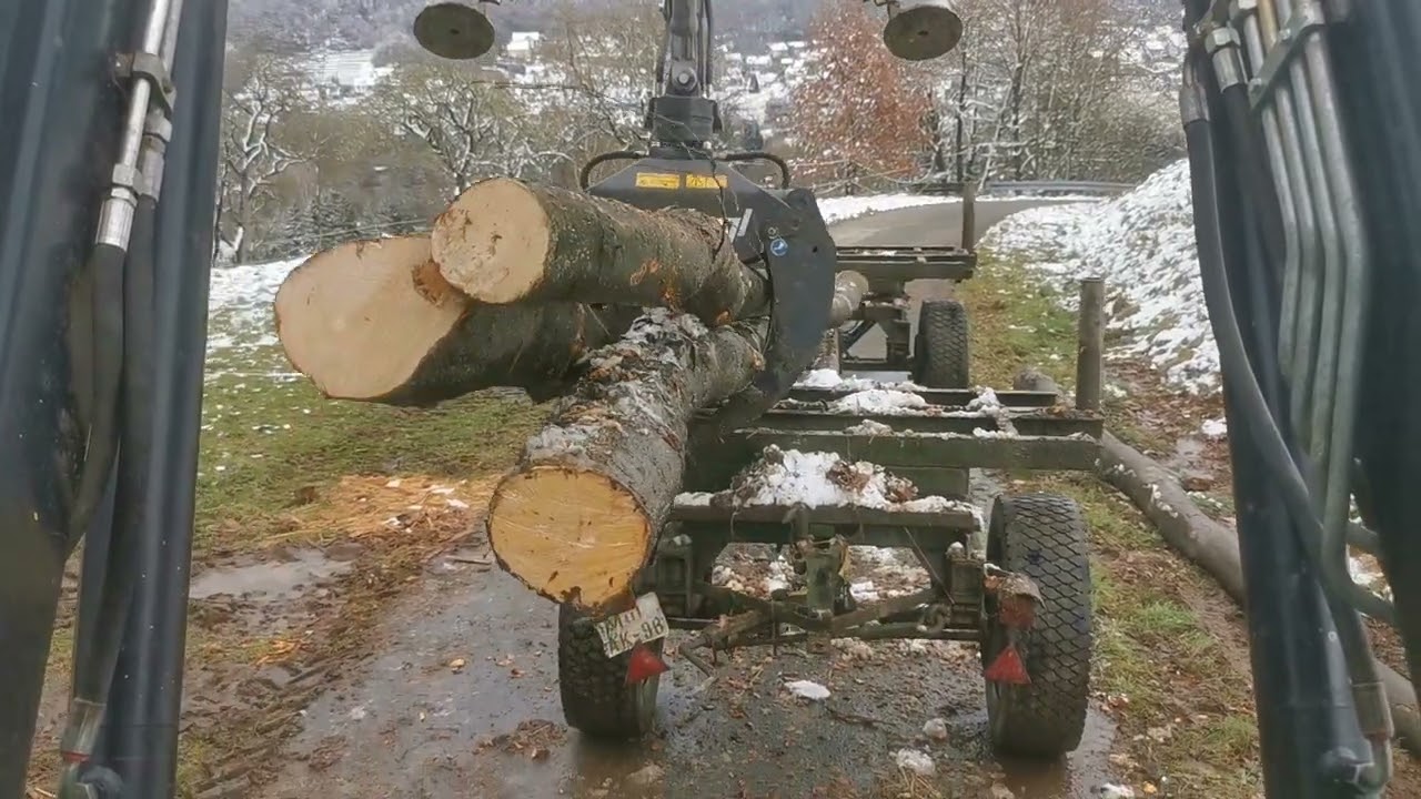 Deutz Agroxtra 4.17  Langholz abladen
