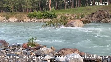 محمد سايد - سورة النازعات |079| MOHAMED SAYED - SURAT AL NAZIAT