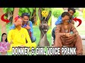 Donkey  girl  voice prank  prank in pakistan  by  b4u prank  2022