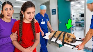 Bambi needs Emergency SURGERY..