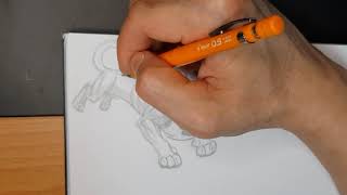 Monster Wolf Dog time-lapse pencil drawing