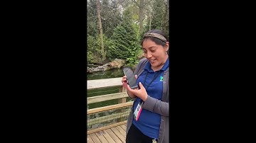 How to use iNaturalist to Report Invasive Turtles