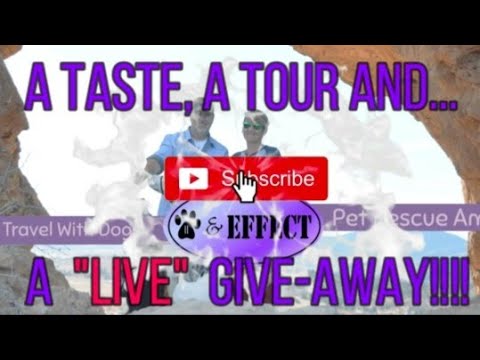 pawz-&-effect-live-session-:-a-taste,-a-tour-and-a-giveaway