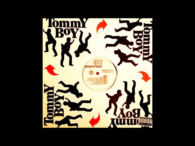 Gangsta Bitch by Apache (single)