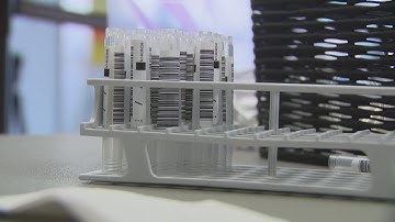 Holiday gatherings, Omicron variant prompt long lines at Covid testing sites