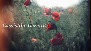 【 Cassis/the GazettE 】弾き語りcover.【 the GazettEは永遠に。 】