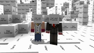 I Turned Minecraft Blocks Into Text Net Worth