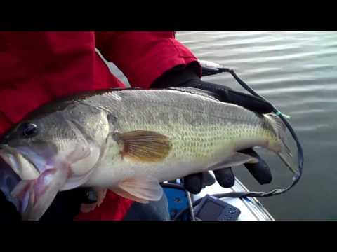 Will Duncan Dylan Waldroop Bass fishing