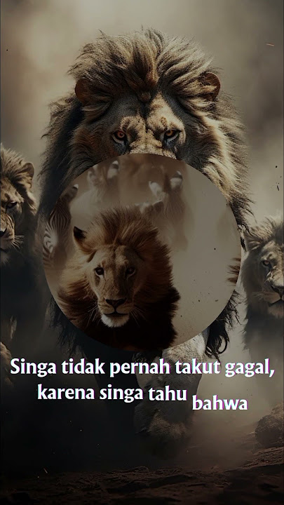 Kata kata motivasi kehidupan #katamotivasi  #singa