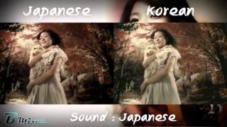 BoA - Everlasting | Japanese - Korean MV Comparison