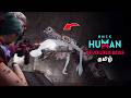 SOLO Devourer Boss Fight - Once Human Tamil