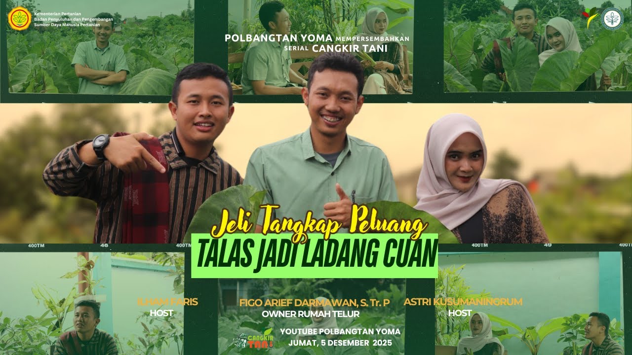 Jeli Tangkap Peluang, Talas Jadi Ladang Cuan