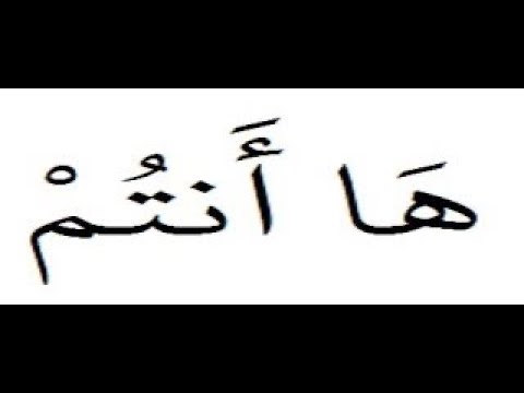أوجه كلمة هأنتم برواية ورش