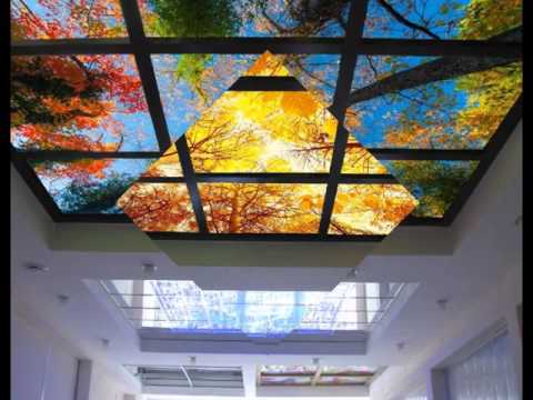 სკინალის ჭერი შეგვიკვეთეთ T.568027711.. 597126430