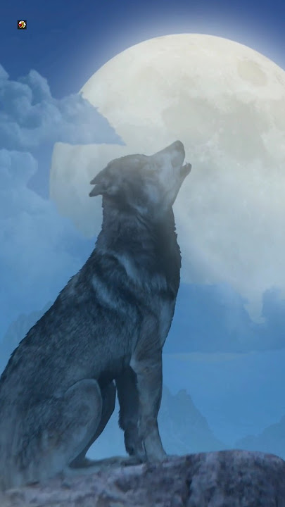 Wolf Sounds | Wolves Howling At Moon