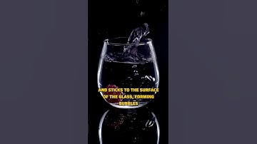 Why Do Bubbles Form on the Sides of Water Glasses? 💧🫧