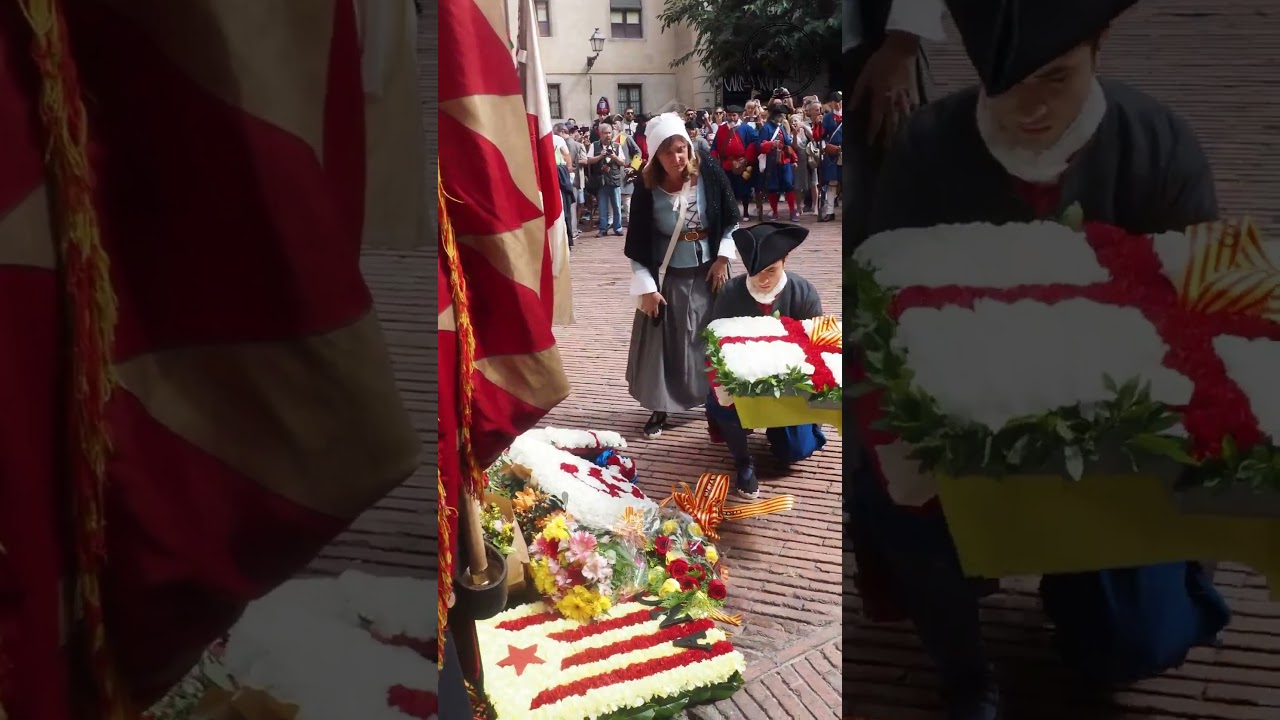 Quin any! || Resum 2024 #recreacióhistòrica #reenactment