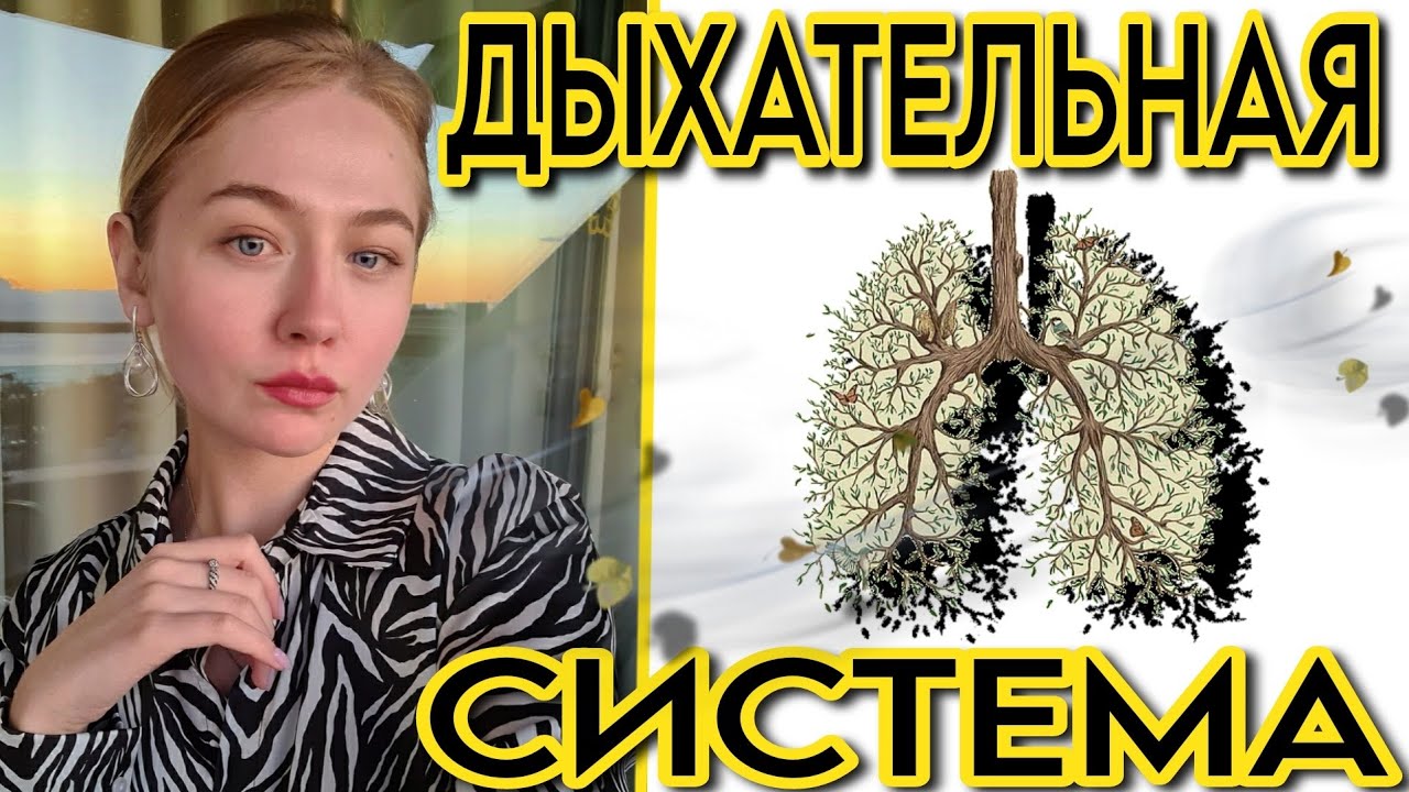 ДЫХАТЕЛЬНАЯ СИСТЕМА ЧЕЛОВЕКА ЕГЭ,ОГЭ/СТРОЕНИЕ ОРГАНОВ ДЫХАНИЯ, ВДОХ ...