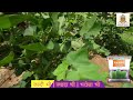 Rambo PCH 225 Farmer Testimonial