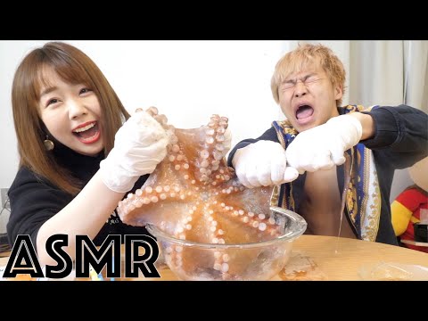 【ASMR】生きたタコを夫婦で食べ尽くす！〜韓国風〜 살아있는 낙지를 먹어 보았다 🐙