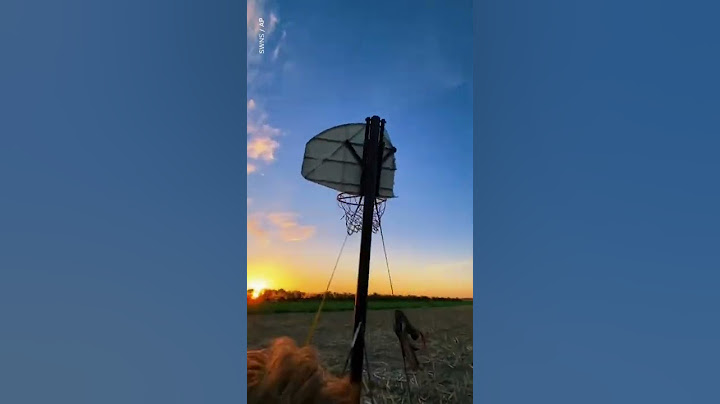 Teen throws basketball from plane into hoop 1000 ft below | USA TODAY #Shorts