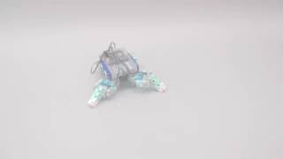 L'école robot pour apprendre à coder - Le robot araignée (4 pattes)