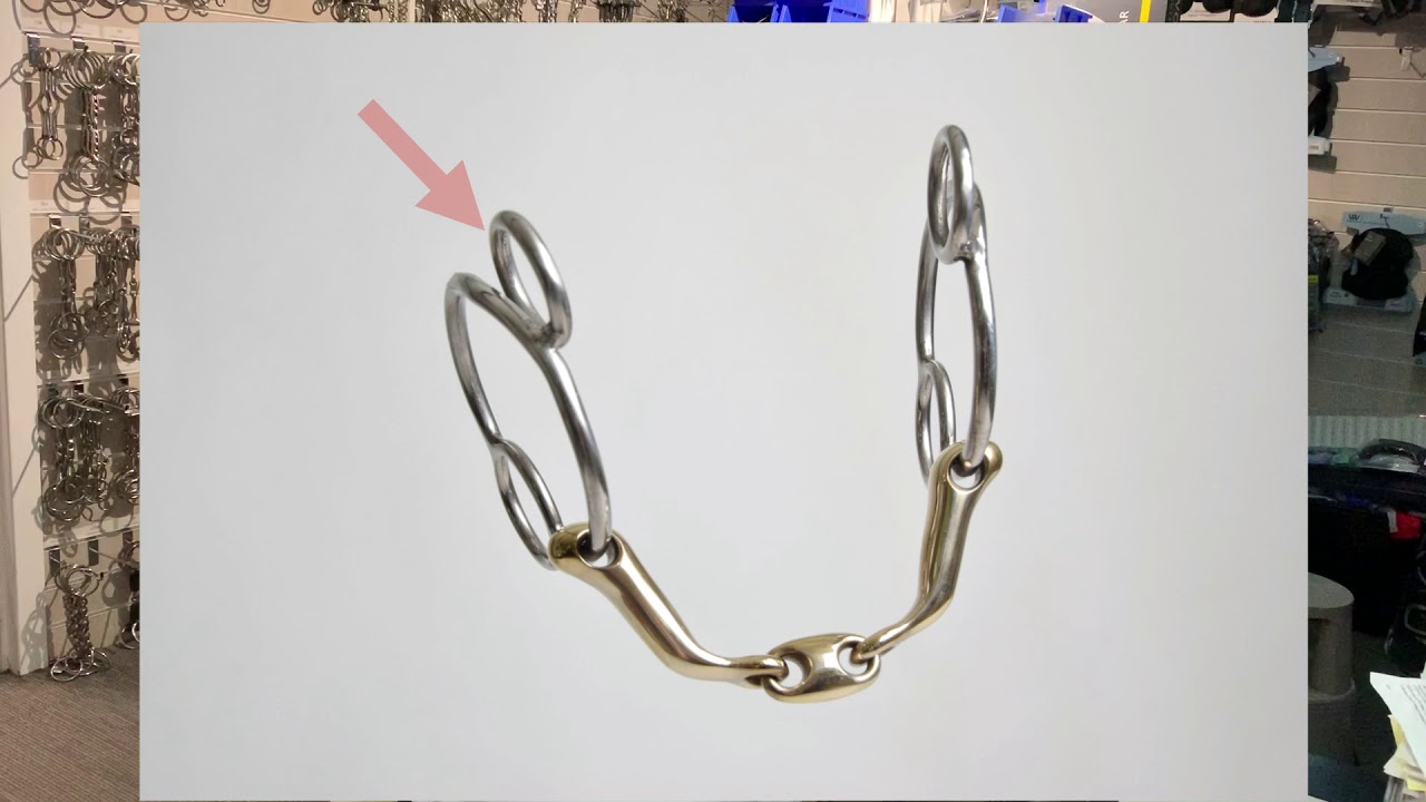 Bit Review - Expert Bits Universal Comfy Mouth