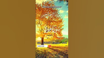 Surah Hood : سورة هود | Ayat No 5-7 | Urdu Translation | @Quran-Hidayat #quran #peace #islam