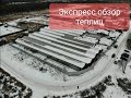 Экспресс обзор наших теплиц