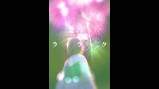ライラック(Lilac)