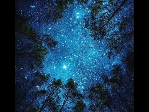 VIRAL MENTAHAN VIDEO GAMBAR BERGERAK COCOK UNTUK BAHAN ...