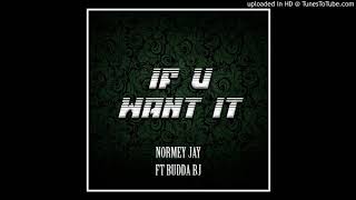 If You Want It (Normey Jay ft. Budda BJ)