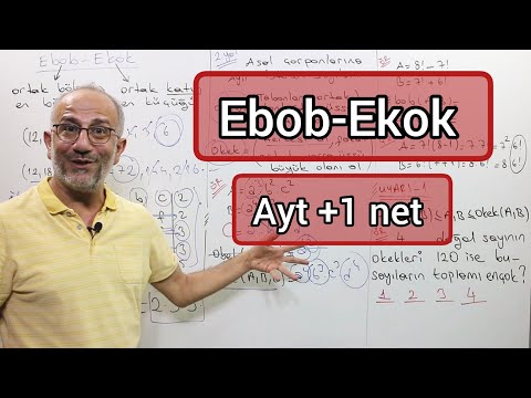 Ebob Ekok | Ayt +1 Net #öğrenmegarantili