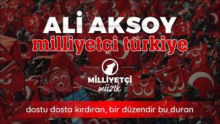 Milliyetçi Türkiye Ali Aksoy Resimi
