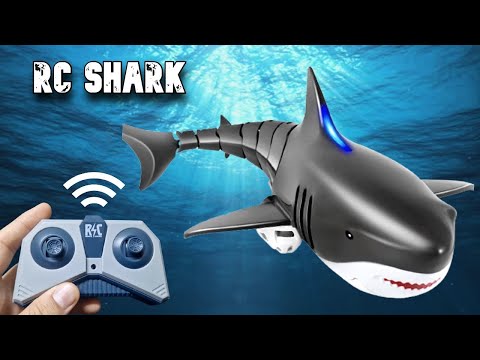 Testing the Waters with our Remote Control Shark | RC Shark Review