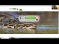 EDDMapS Virtual Office Hours 2023 - EDDMapS 101