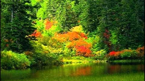 سورة التغابن بصوت الشيخ فارس عباد