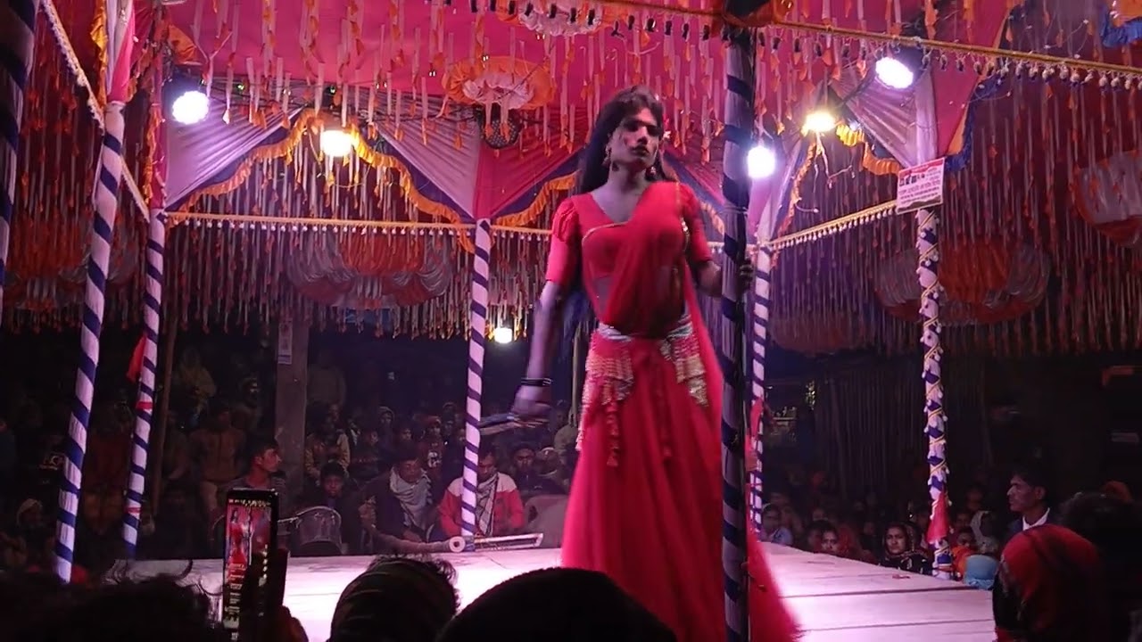 কোথায় গেলে আমি পাব সেই পাখি রাজাকে ও পাখি রাজা কোথায় গো তুমি #DJ 