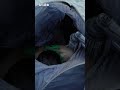 在海邊開車邊帳睡一晚|車中泊 #台玩露客 #海邊 #夏天