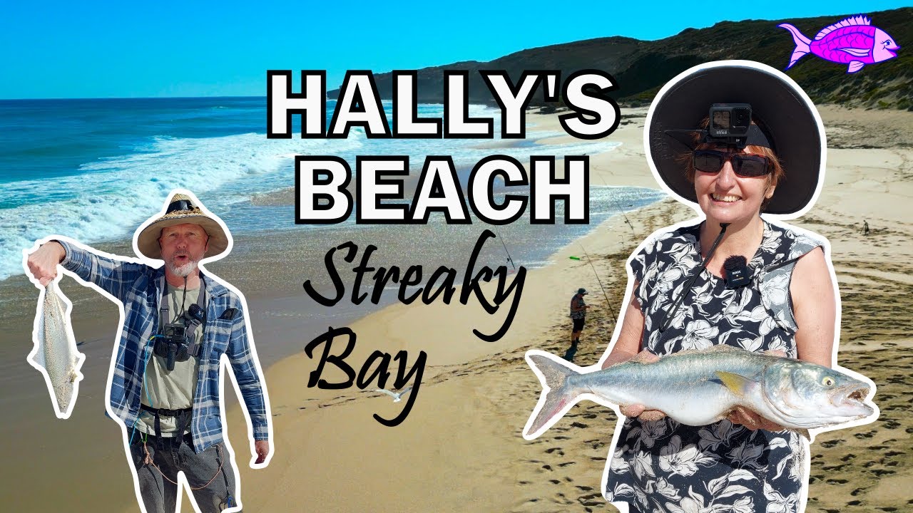 Australian Salmon Fishing Hally's Beach Streaky Bay Eyre Peninsula