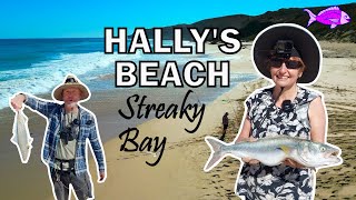 Australian Salmon Fishing Hally's Beach Streaky Bay Eyre Peninsula by fishing sister 1,761 views 8 months ago 30 minutes
