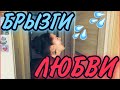 Женский ОР..АЗМ. Мой первый К@НИ. Мой самый СТРЁМНЫЙ О..ГАЗМ. СЛИШКОМ БОЛЬШОЙ.