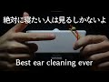 ASMR 12種類の最高級耳かき 12 Tingly Ear Cleaning / SR3Dオムニバス