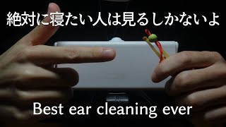 ASMR 12種類の最高級耳かき 12 Tingly Ear Cleaning / SR3Dオムニバス