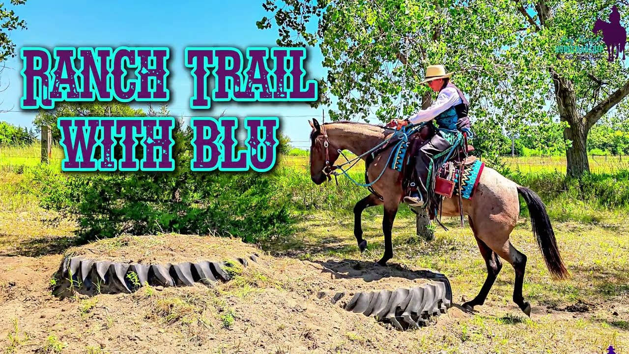 Blu's First Ranch Trail Experience | Young Horse Development (Full Ride)