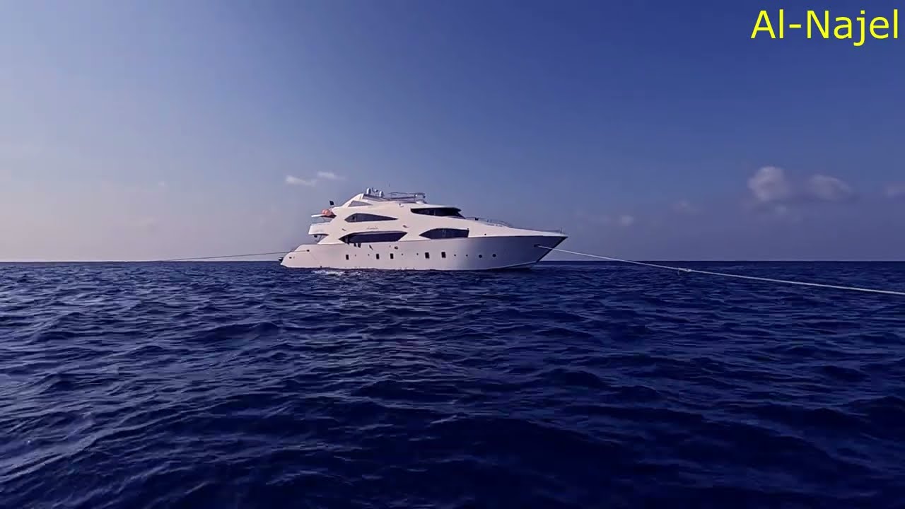 Diving Qadd Humais - Lith - Saudi Arabia, Jan 2025