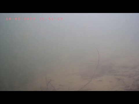 Livestream von correltech